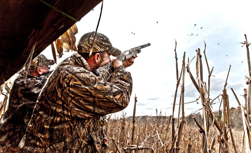 Carolina Hunting Preserves