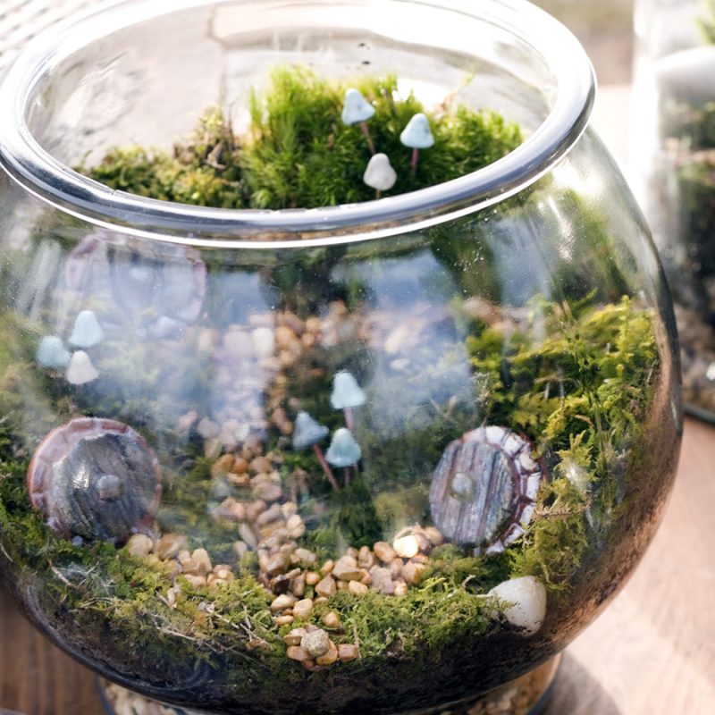 A moss terrarium by Gypsy Raku