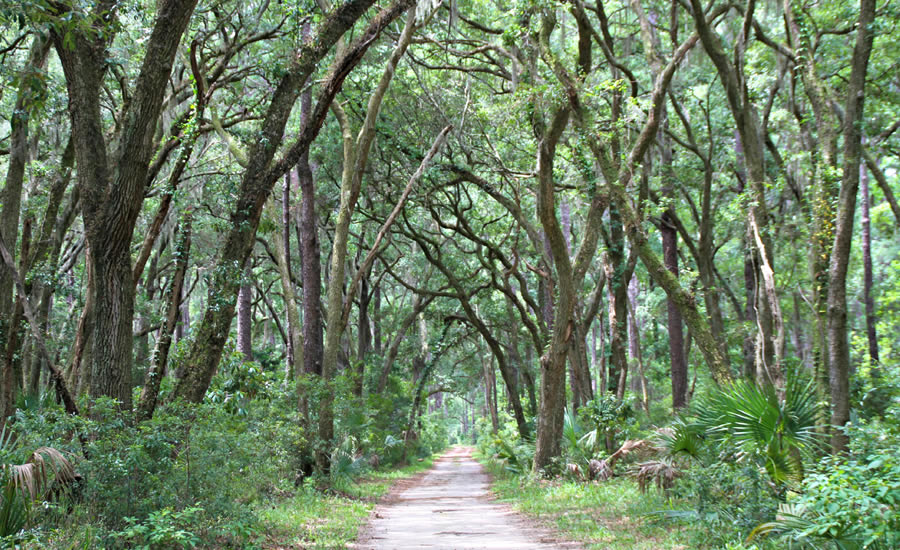 Lowcountry Oaks at Palmetto Bluff