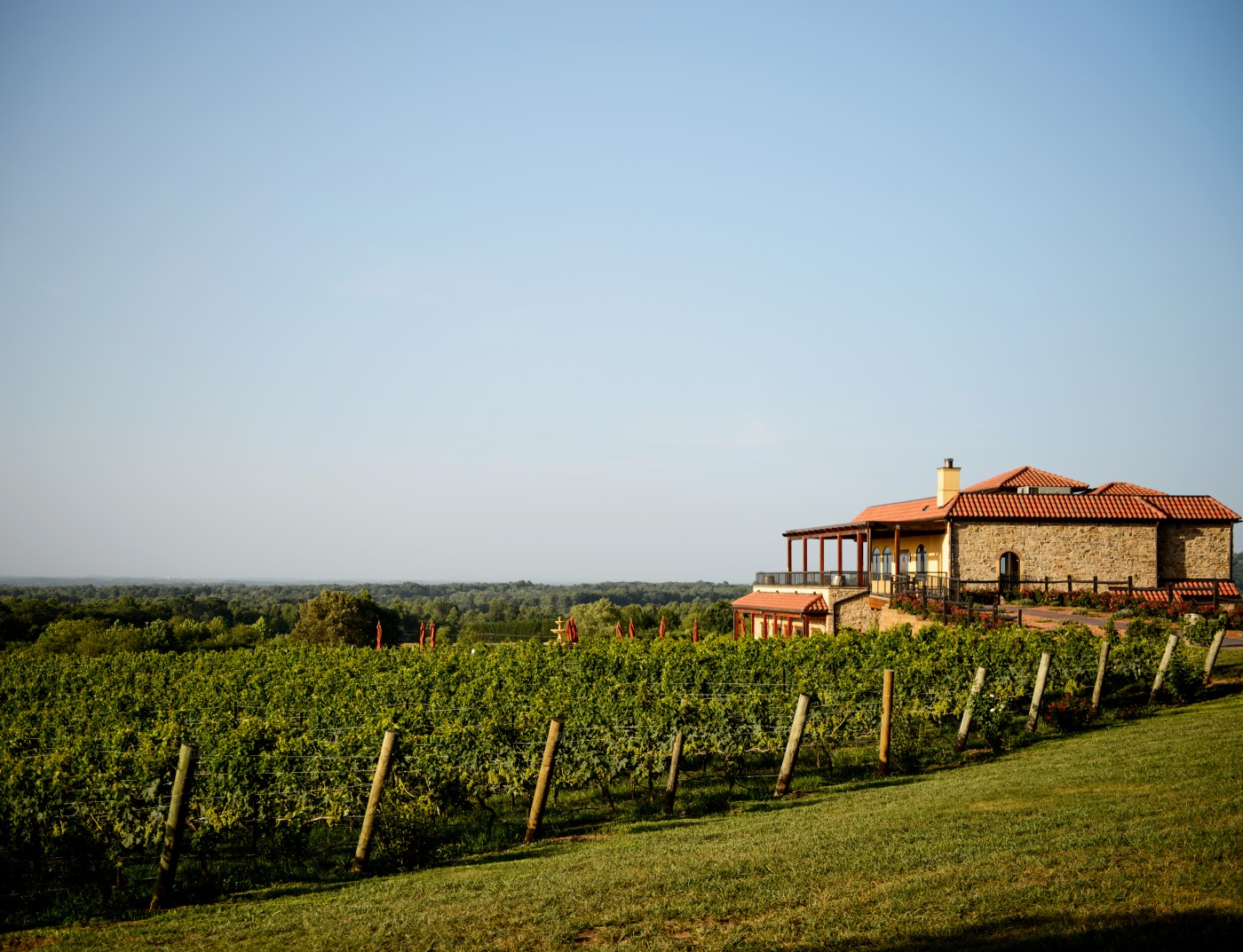 Wineries In And Around Charlotte NC