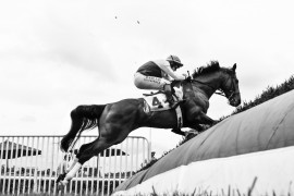 The Queen's Cup Steeplechase