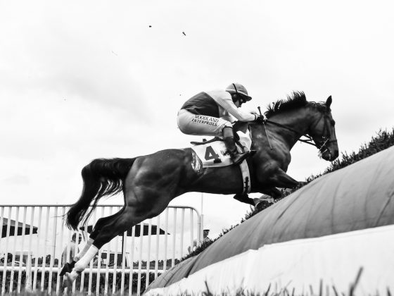 The Queen's Cup Steeplechase