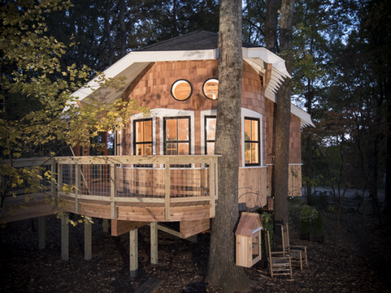 Treehouse Masters' Omni Montessori Owl's Nest Library