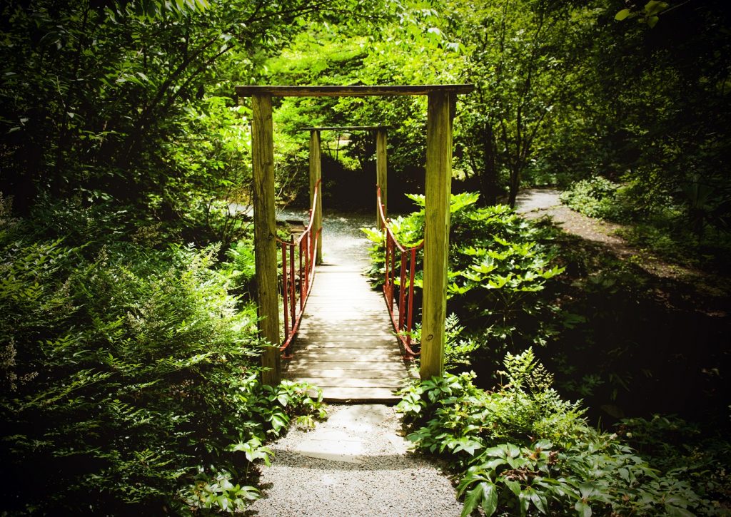 10 Things to do Outside in Charlotte This Spring - QC Exclusive