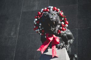 Carolina Panthers