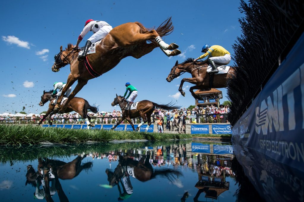 The Annual Queen's Cup Steeplechase is the best tailgate of the year