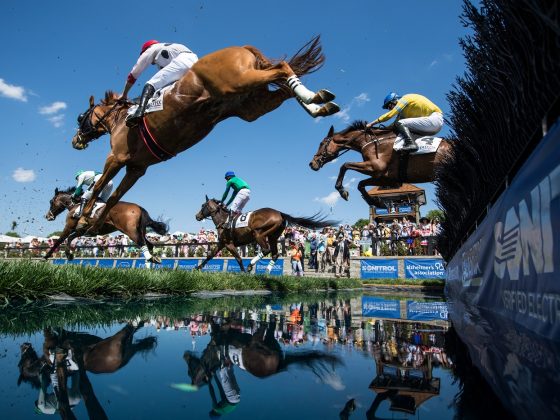 Queen's Cup Steeplechase