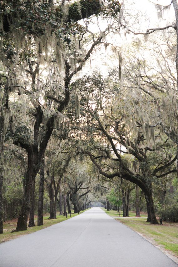 Bluffton, SC: A Trip to a classic Southern Coastal Town - QC Exclusive