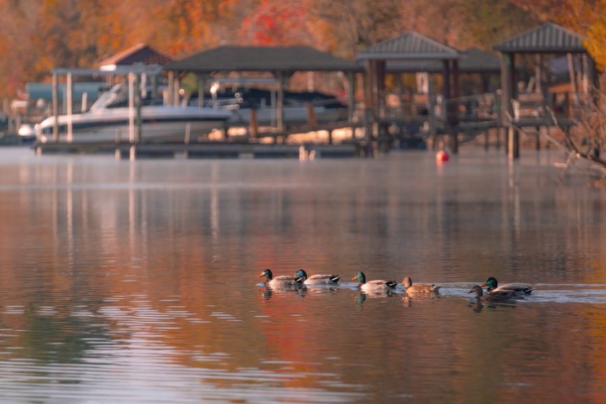 The Best Things to do in Cornelius NC QC Exclusive