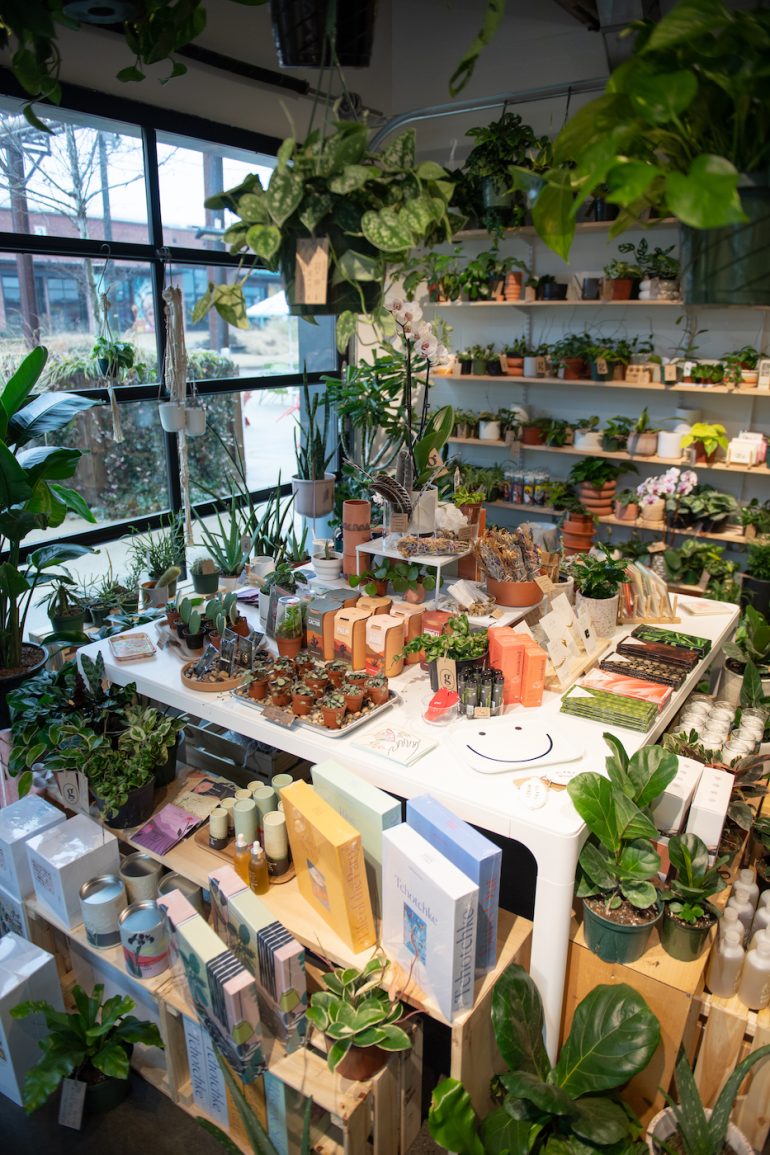 Take A Trip To Grow, Charlotte�s Boutique Plant Shop QC