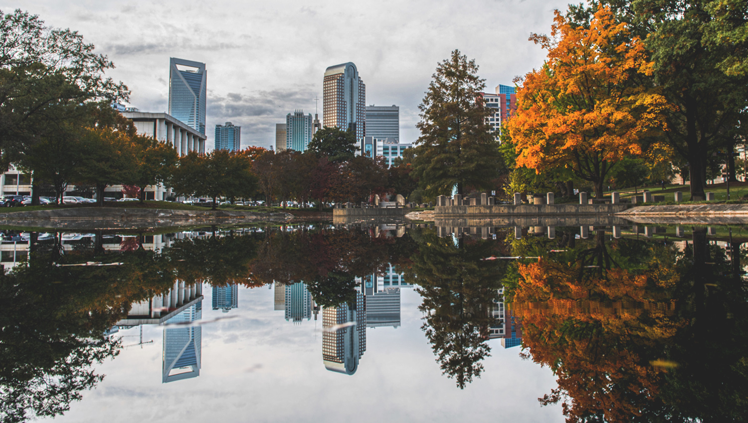 Fun And Free Things To Do In Charlotte Nc