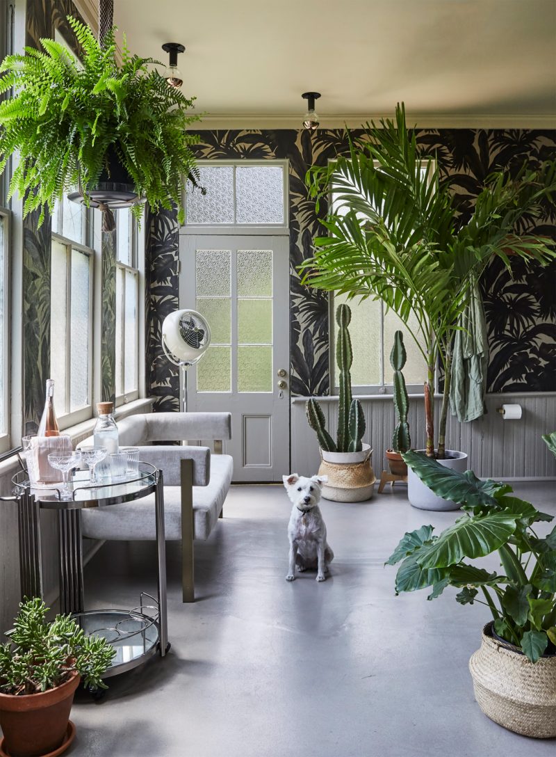 Bright and airy plant filled space at the boho inspired Wilmington NC Boutique Hotel Dreamers Welcome