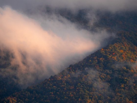 Fall foliage in the Great Smoky Mountains Of North Carolina near Black Mountain