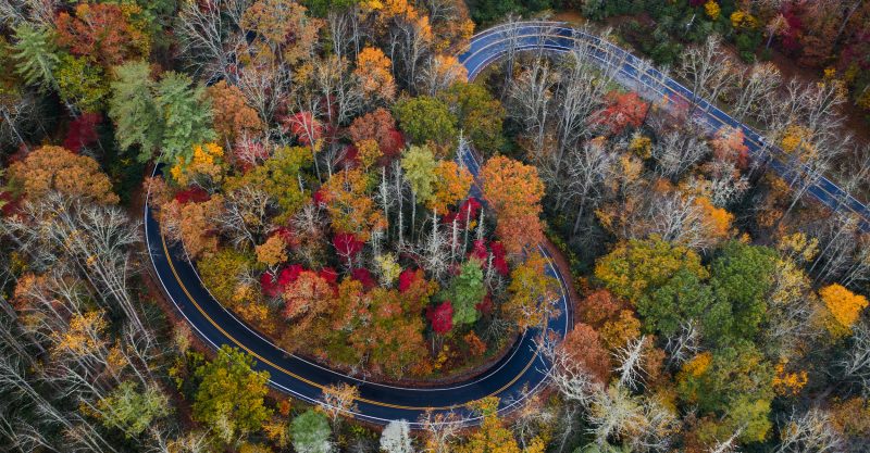 Fall Foliage In North Carolina