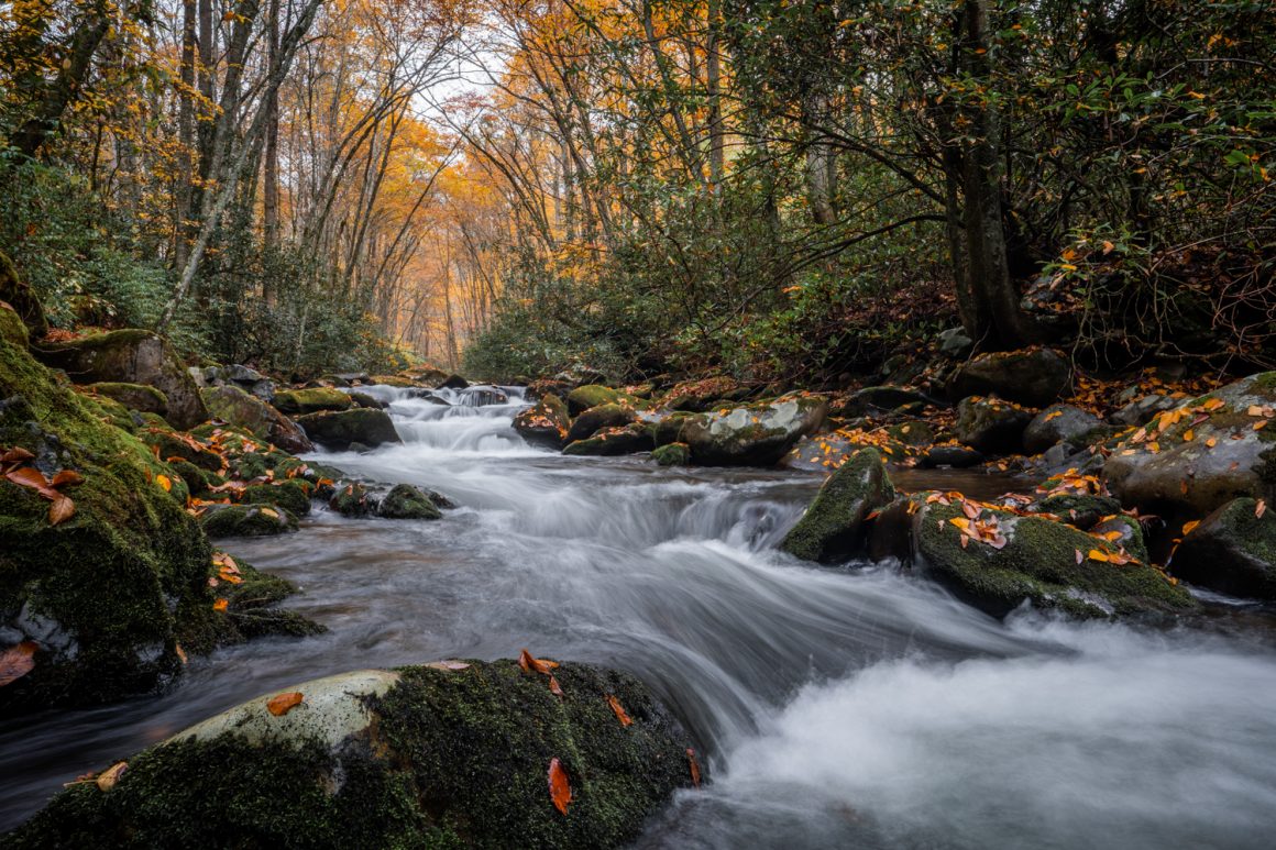 Where To See Fall Foliage In North Carolina - Great Smoky Mountains National Park