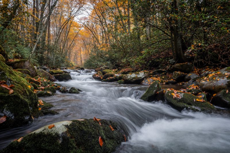 Where To See Fall Foliage in North Carolina For Yourself