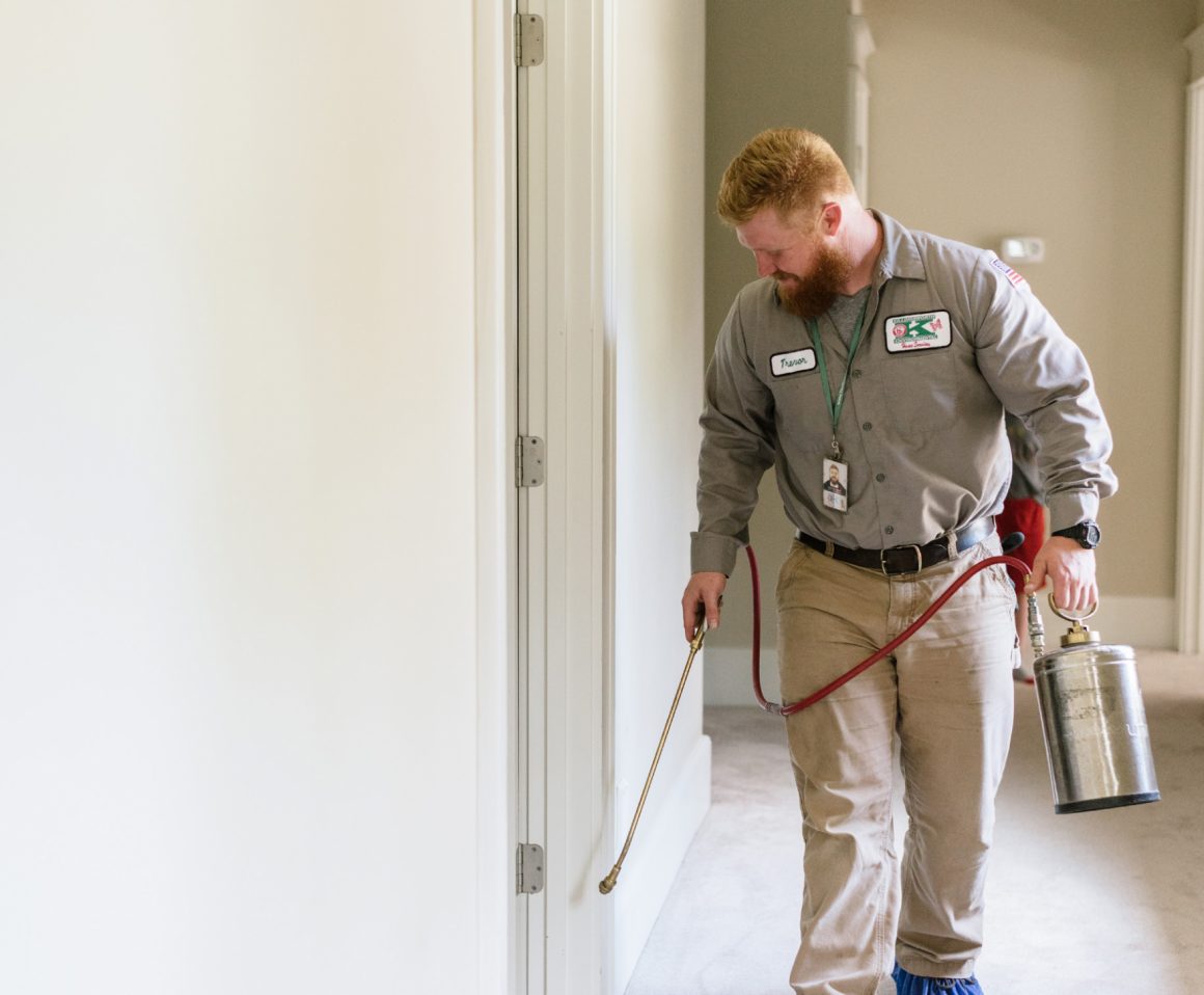 Best Pest Control In Charlotte NC? Try Killingsworth