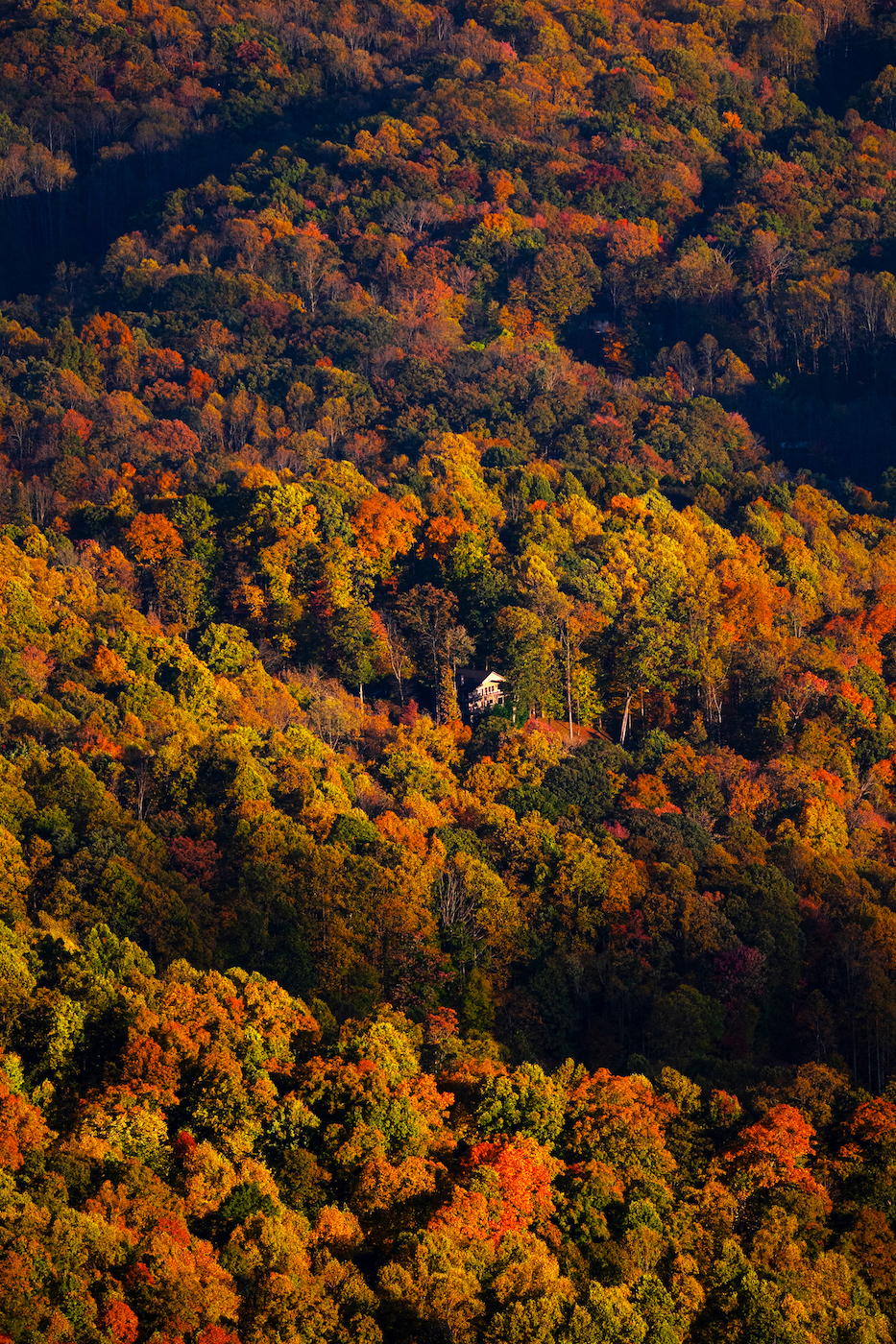 aerial view of fall colors in black mountain