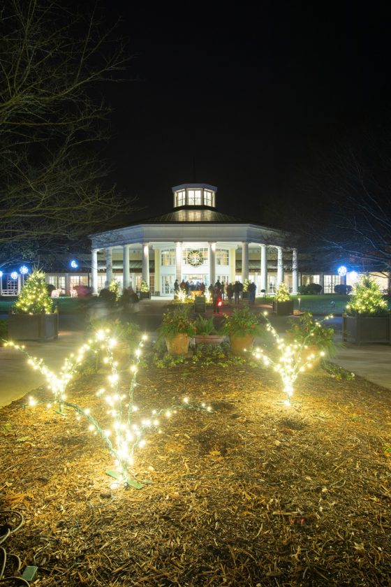 The Best Places To See Christmas Lights In Charlotte NC