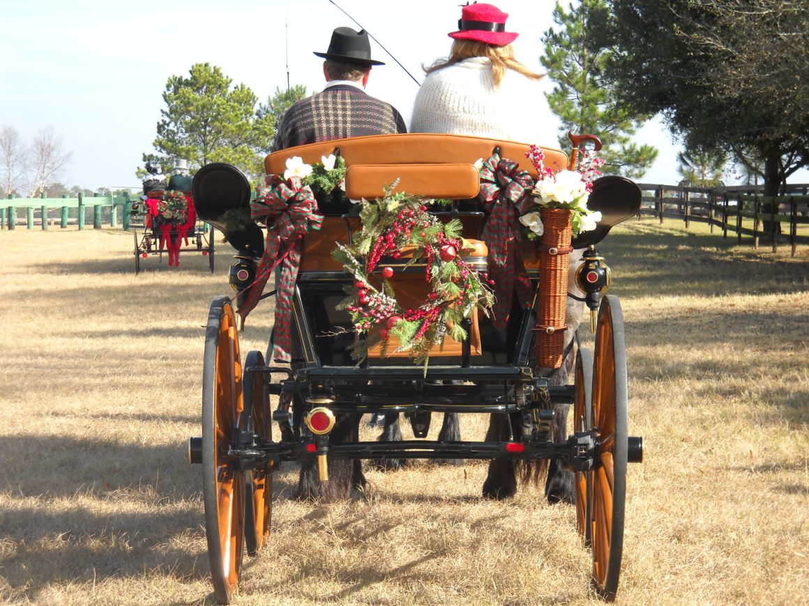 Southern Pines NC Carriage Rides