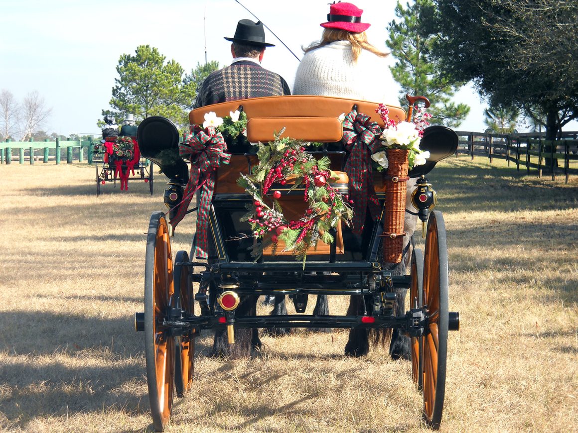 Things To Do In Moore County NC - Take A Carriage Ride