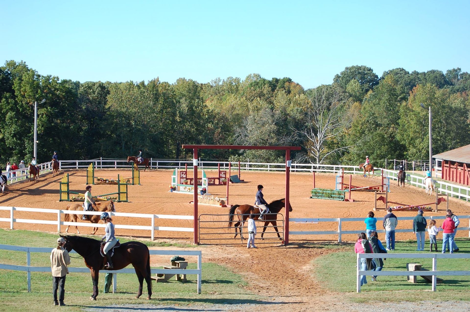 Top Places To Go Horseback Riding In Charlotte NC