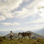 horse and human walking along a mountain ridge