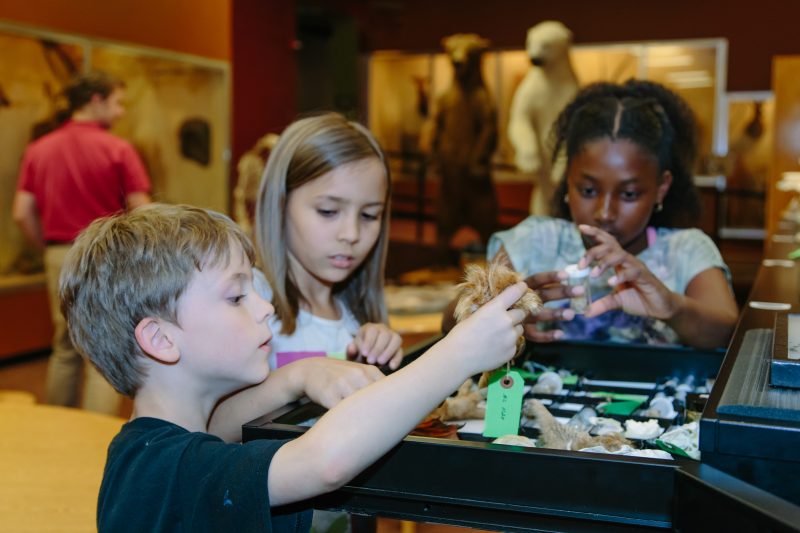 museum of York County_CH Museums
