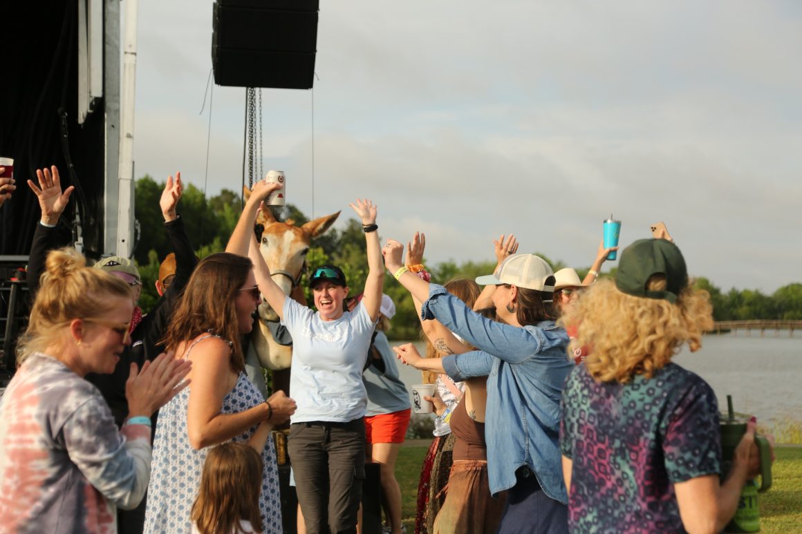 BirdFest Music Festival