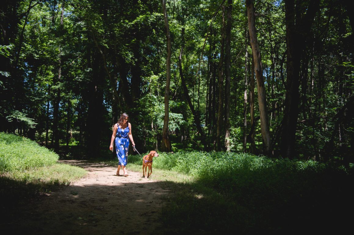 person walking a dog along the anne springs close greenway