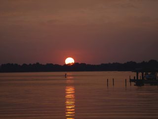 paddleboarder on a lake
