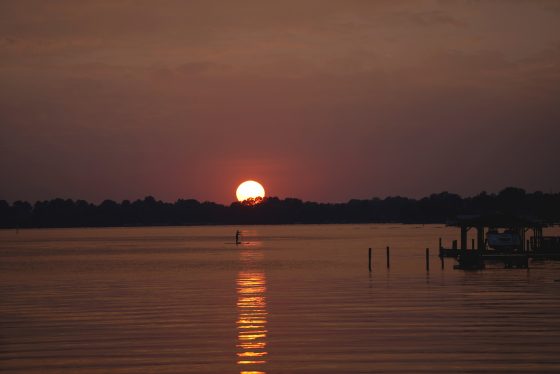 paddleboarder on a lake