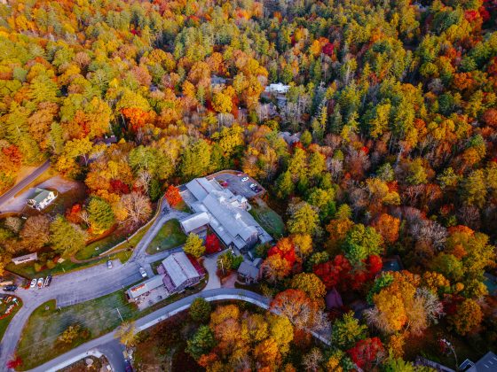 the bascom holiday market