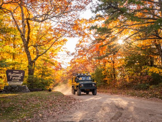 jeep driving through pisgah national forest in the fall