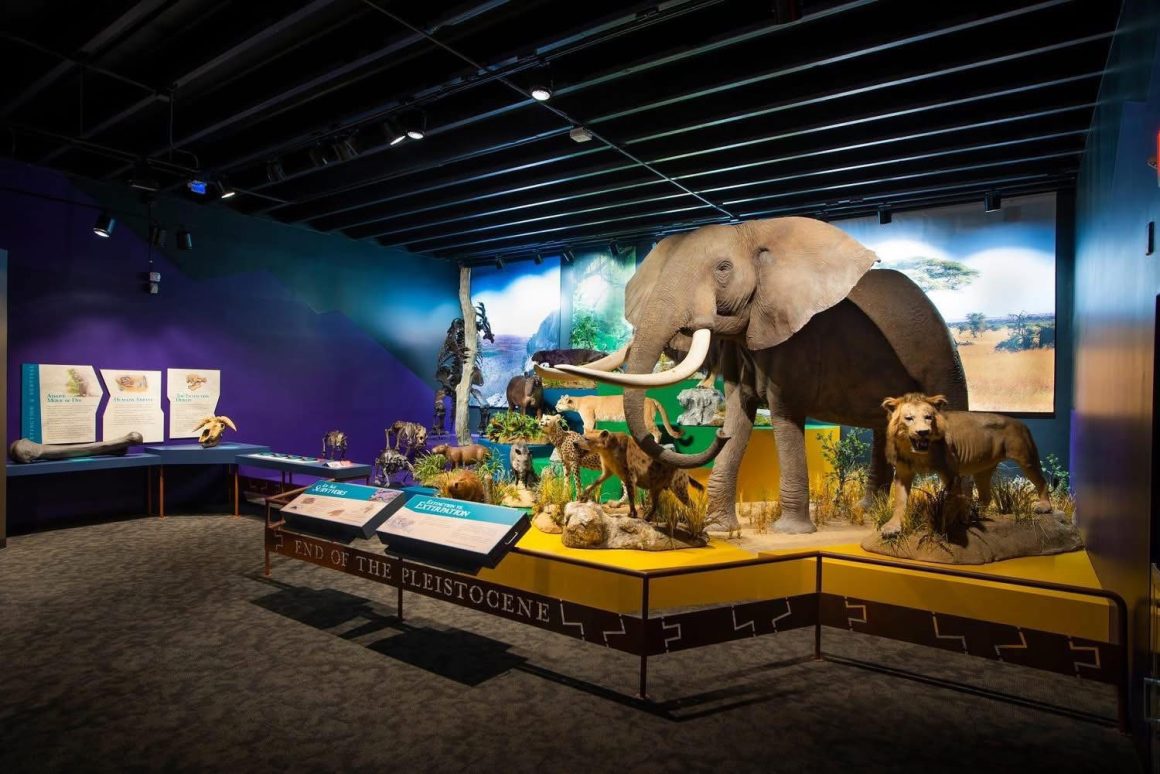 holiday events culture & heritage museums