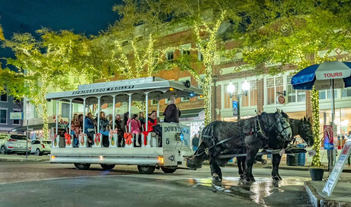 a horse drawn carriage during the holidays