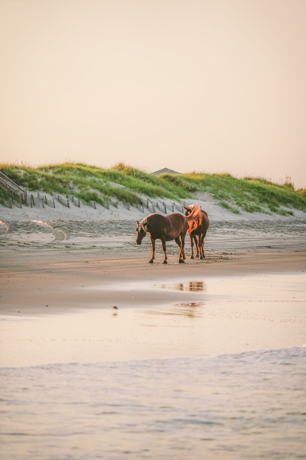 Northern Outer Banks