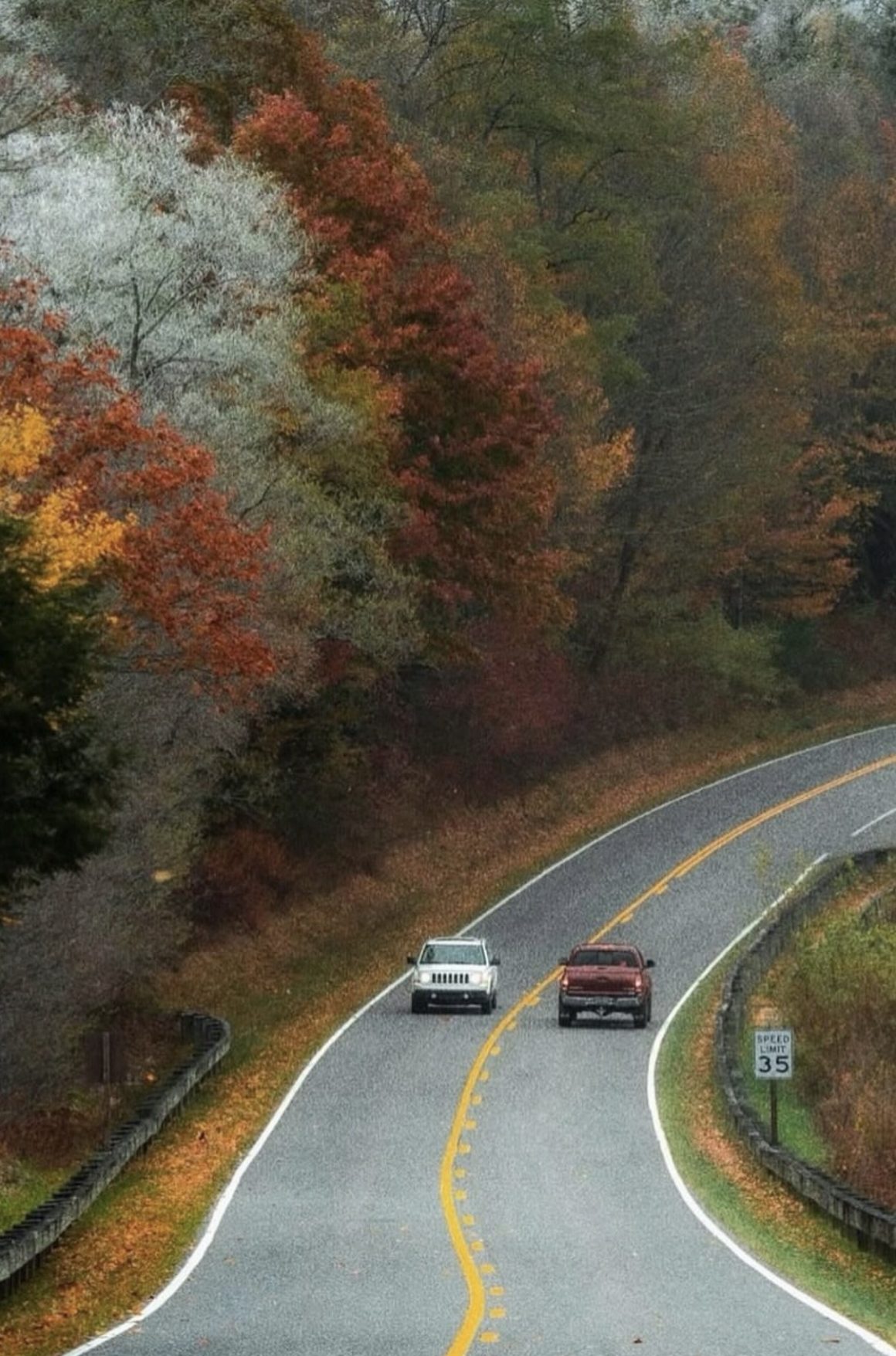 a road trip on the blue ridge parkway is some of the best fall travel in the carolinas