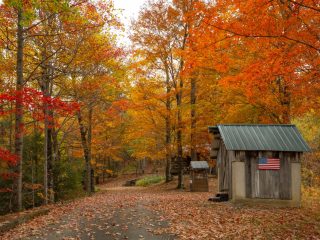 shack in the midst of trees with vibrant colors